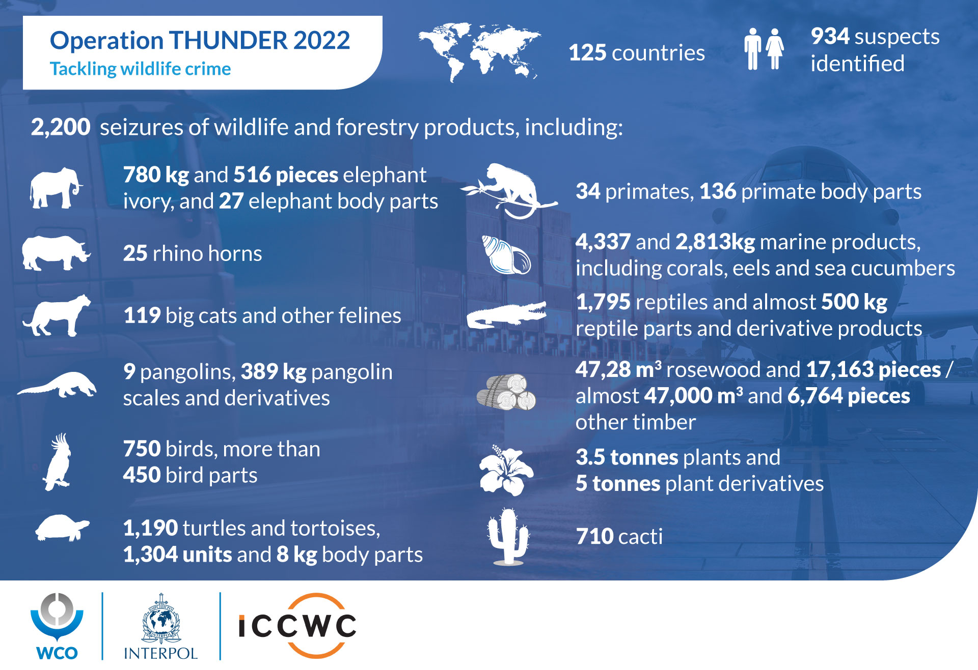 Operation Thunder 2022_1.jpeg 