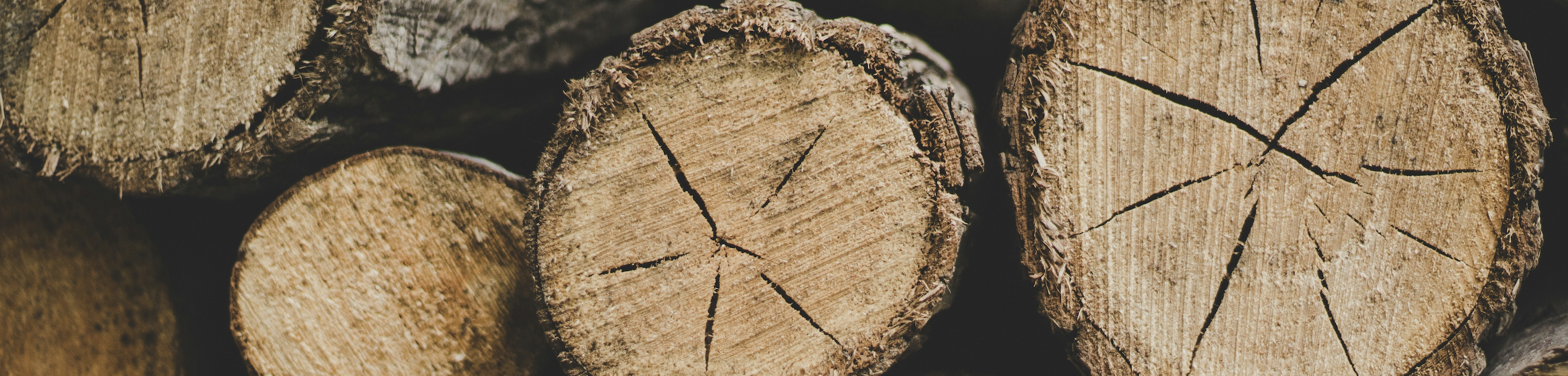 Unsplash_Timber.png