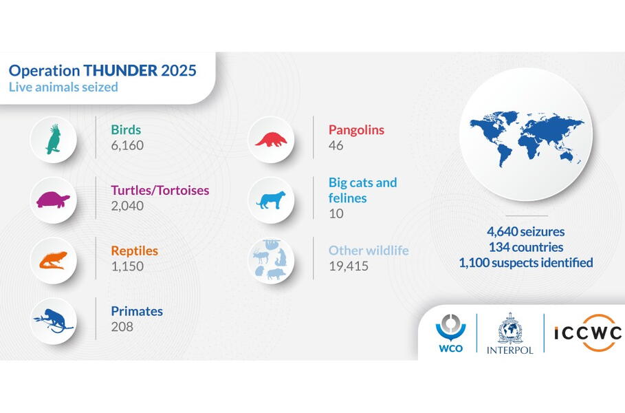 f6dfec08412e-AAA-Infographic-LiveAnimals.jpg