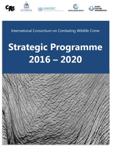 Strategic Programme