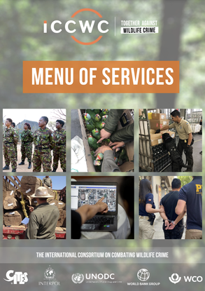 ICCW Menu Of Services