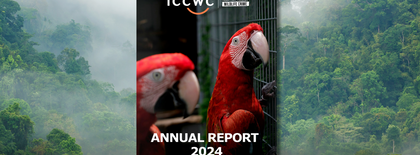 ICCWC AR 2024 Cover Photo.png