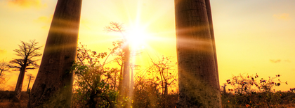 Website Banner.png