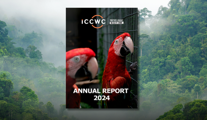 ICCWC AR 2024 Cover Photo.png